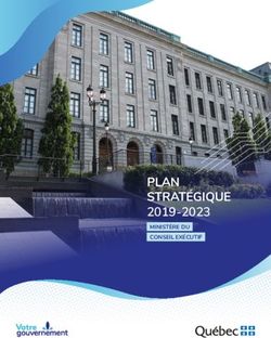 PLAN STRAT&Eacute;GIQUE 2019-2023 - MINIST&Egrave;RE DU CONSEIL EX&Eacute;CUTIF - Minist&egrave;re du Conseil ex&eacute;cutif