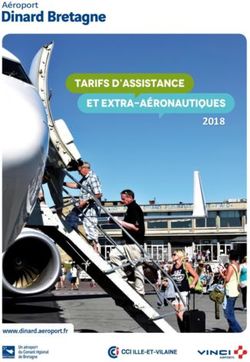 2018 A&eacute;roport Dinard Bretagne