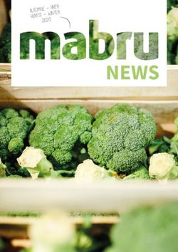 NEWS 20 20 Automne - Hiver HErfst - Winter - Marché Matinal