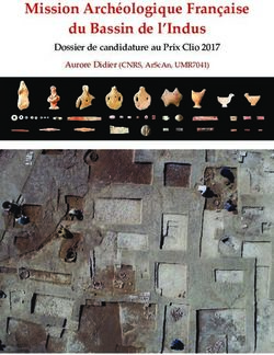 Mission Archéologique Française du Bassin de l'Indus - Dossier de candidature au Prix Clio 2017
