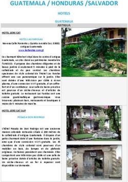 GUATEMALA / HONDURAS /SALVADOR - HOTELS GUATEMALA ANTIGUA