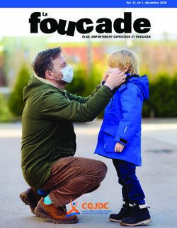 ÉLAN, EMPORTEMENT CAPRICIEUX ET PASSAGER - Vol. 21, no 1, décembre 2020 - CQJDC