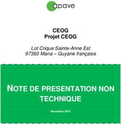 NOTE DE PRESENTATION NON TECHNIQUE - CEOG Projet CEOG