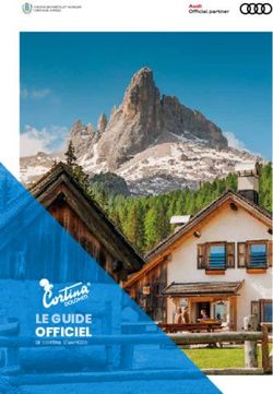LE GUIDE OFFICIEL - Dolomiti