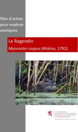 Le Ragondin Plan d'action pour esp&egrave;ces exotiques - emwelt.lu