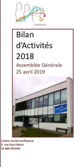Bilan d'Activités 2018 - Assemblée Générale 25 avril 2019 - Centre Social Confluence 5, rue Guy Pabois