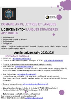 DOMAINE ARTS, LETTRES ET LANGUES LICENCE MENTION LANGUES ETRANGERES APPLIQUEES