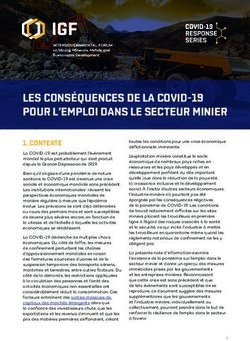 LES CONS&Eacute;QUENCES DE LA COVID-19 POUR L'EMPLOI DANS LE SECTEUR MINIER