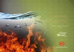 WARMTH CELEBRATING CV haarden | Foyers à chauffage central 2019 - Druservice.nl