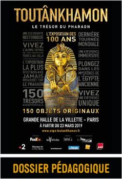 DOSSIER P&Eacute;DAGOGIQUE - Lille