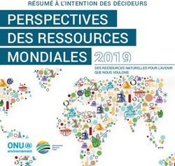 PERSPECTIVES DES RESSOURCES MONDIALES - RÉSUMÉ À L'INTENTION DES DÉCIDEURS - Reporterre