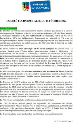 COMIT&Eacute; TECHNIQUE AEFE DU 15 F&Eacute;VRIER 2022