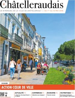 ACTION C&OElig;UR DE VILLE - Ville de Ch&acirc;tellerault