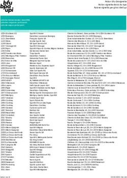 Aktion bfu-Skivignette Action vignette de ski du bpa Azione vignetta per gli sci dell'upi