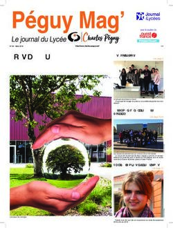 Supplément centenaire Guerre Mondiale - Le Bois Tillac