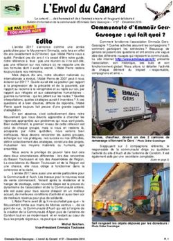 L'Envol du Canard - emma&uuml;s gers gascogne