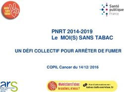 PNRT 2014-2019 Le MOI(S) SANS TABAC - UN D&Eacute;FI COLLECTIF POUR ARR&Ecirc;TER DE FUMER COPIL Cancer du 14/12/ 2016 - Hopital.fr