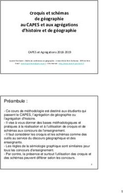Croquis et schémas de géographie au CAPES et aux agrégations d'histoire et de géographie - Laurent Porcheret
