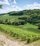 GUIDE POUR L'ACTION - Engag&eacute;s pour la nature