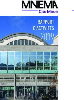 2019 RAPPORT D'ACTIVITÉS - Mnema