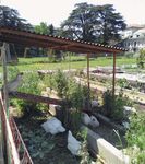 Vers une alimentation responsable - Ville d'Onex