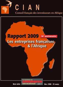 Rapport 2009 Les entreprises fran&ccedil;aises & l'Afrique - 20e anniversaire - Conseil fran&ccedil;ais des investisseurs en Afrique