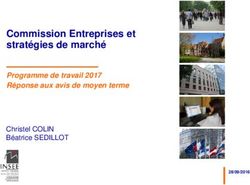 Commission Entreprises et stratégies de marché - Programme de travail 2017 Réponse aux avis de moyen terme - Cnis
