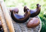 ARTISANAT BIOLOGIQUE BELGE - CHOCOLATERIE - Un plaisir, un sens - KAKO - Chocolaterie artisanale bio en ...