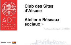 Club des Sites d'Alsace Atelier " R&eacute;seaux sociaux " - Pixel Museum, Schiltigheim - le 21/05/2019 - Alsace Destination ...