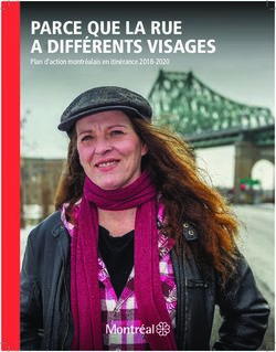 PARCE QUE LA RUE A DIFFÉRENTS VISAGES - Plan d'action montréalais en itinérance 2018-2020 - Ville de ...
