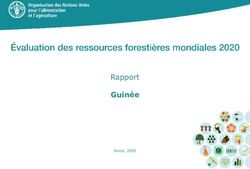 Guinée Rapport Rome, 2020