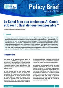 Policy Brief - Africa Portal