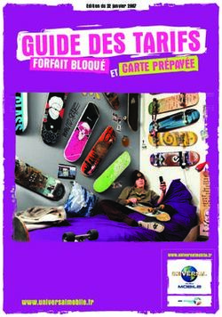 GUIDE DES TARIFS CARTE PRÉPAYÉE FORFAIT BLOQUÉ - La Fibre