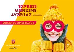 DOSSIER DE CONCERTATION - DESTINATION DEMAIN - Un grand projet de développement - Mairie de Morzine Avoriaz