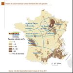 Pois de printemps : conseil variétal territorialisé pour les semis 2022