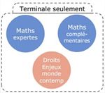 Cycle terminal 2019-2021 - 19 mars 2019 Présentation parents d'élèves de 2nd - Servites de Marie