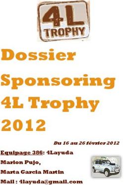 DOSSIER SPONSORING 4L TROPHY 2012 - EQUIPAGE 386 : 4LAYUDA