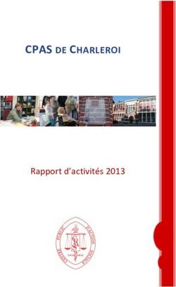 CPAS DE CHARLEROI - Rapport d'activités 2013