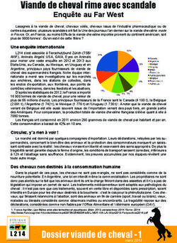 Viande de cheval rime avec scandale - Enqu&ecirc;te au Far West