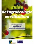 Paysage et transition agroécologique en viticulture