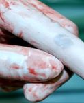 Quel gant pour quel usage ? - Un peu d'histoire Les normes - ANPPH