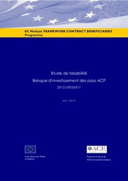 Etude de faisabilité Banque d'investissement des pays ACP - 2012/290369/1 Mai 2013