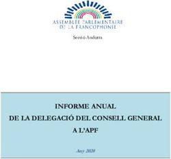 INFORME ANUAL DE LA DELEGACI&Oacute; DEL CONSELL GENERAL A L'APF - Any 2020 - Secci&oacute; Andorra