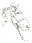 Section sportive &eacute;quitation - Dossier d'inscription - La Goutarende