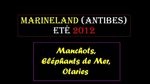 Marineland d'Antibes - encyclopedis