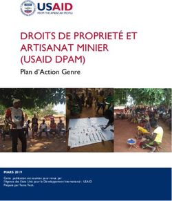 DROITS DE PROPRIETÉ ET ARTISANAT MINIER (USAID DPAM) - Plan d'Action Genre - MARS 2019