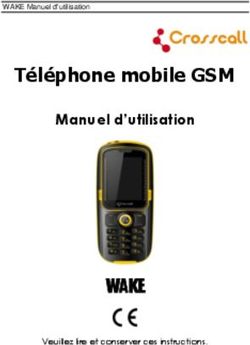 Té lé phone mobile GSM - WAKE Manuel d'utilisation