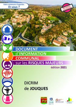 DOCUMENT d'INFORMATION COMMUNAL - sur les RISQUES MAJEURS DICRIM de JOUQUES