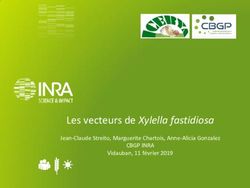 Les vecteurs de Xylella fastidiosa - CBGP INRA Jean-Claude Streito, Marguerite Chartois, Anne-Alicia Gonzalez Vidauban, 11 f&eacute;vrier 2019 - Chambre ...
