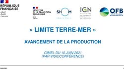 " LIMITE TERRE-MER " AVANCEMENT DE LA PRODUCTION - GIMEL DU 10 JUIN 2021 (PAR VISIOCONFÉRENCE) - CNIG